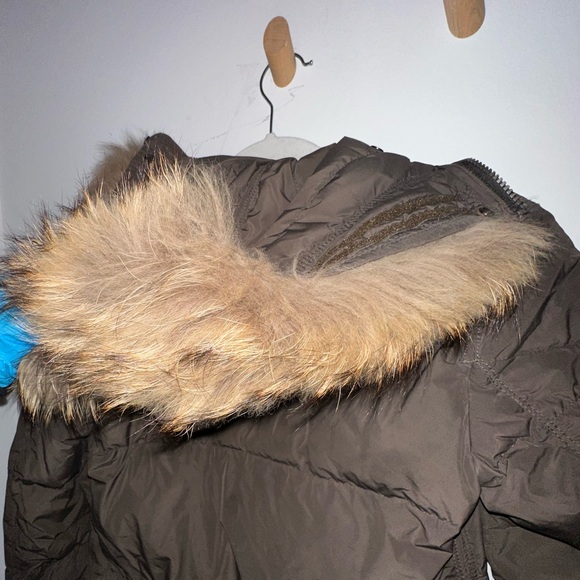 Brown Parajumper Light Long Bear Down Jacket - Women's - Picture 6 of 11